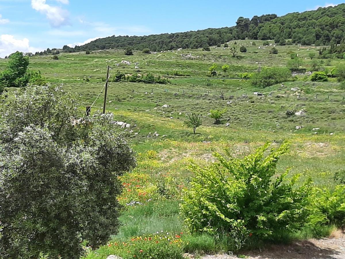 Casa Rural "Eccehomo De Borja" Екстер'єр фото