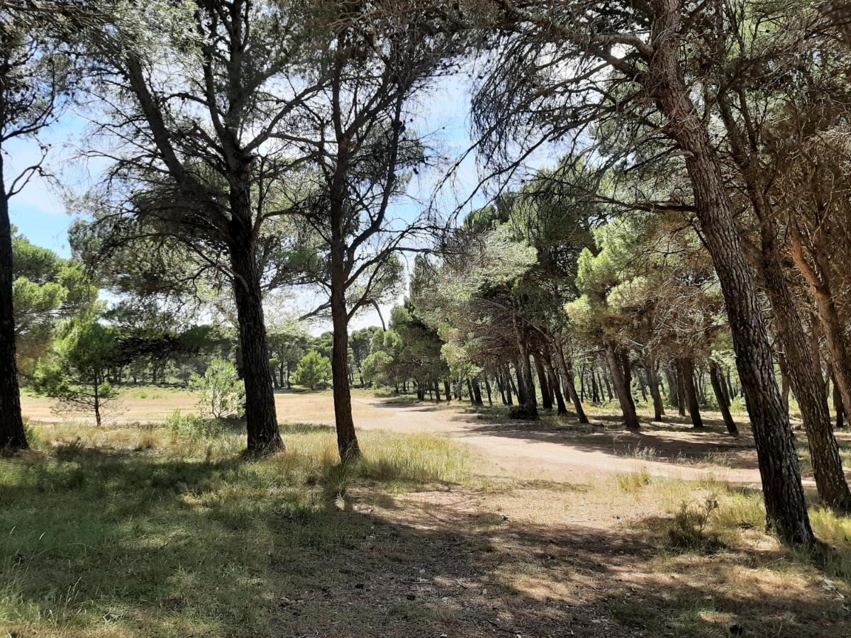 Casa Rural "Eccehomo De Borja" Екстер'єр фото